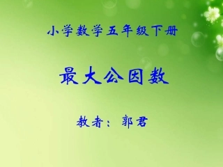 最大公因数 (2)