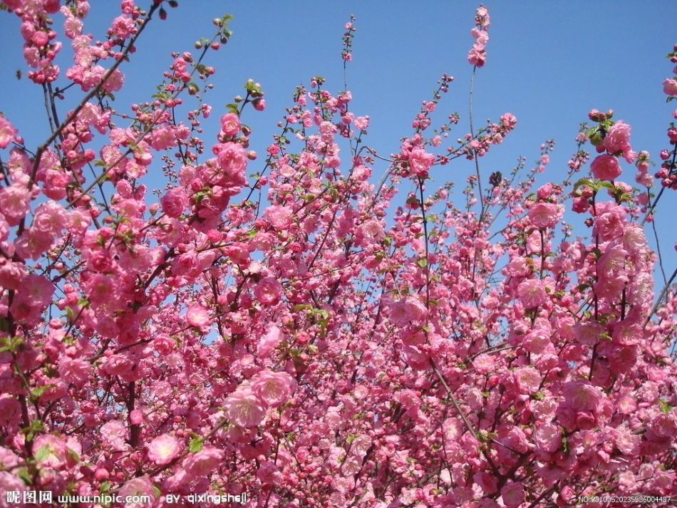 音乐《春天来了》_第3页