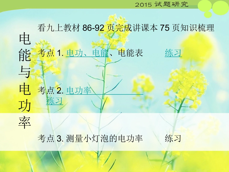 复习--电能与电功率_第2页