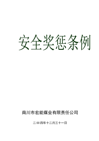 安全生产奖惩条例(成册)