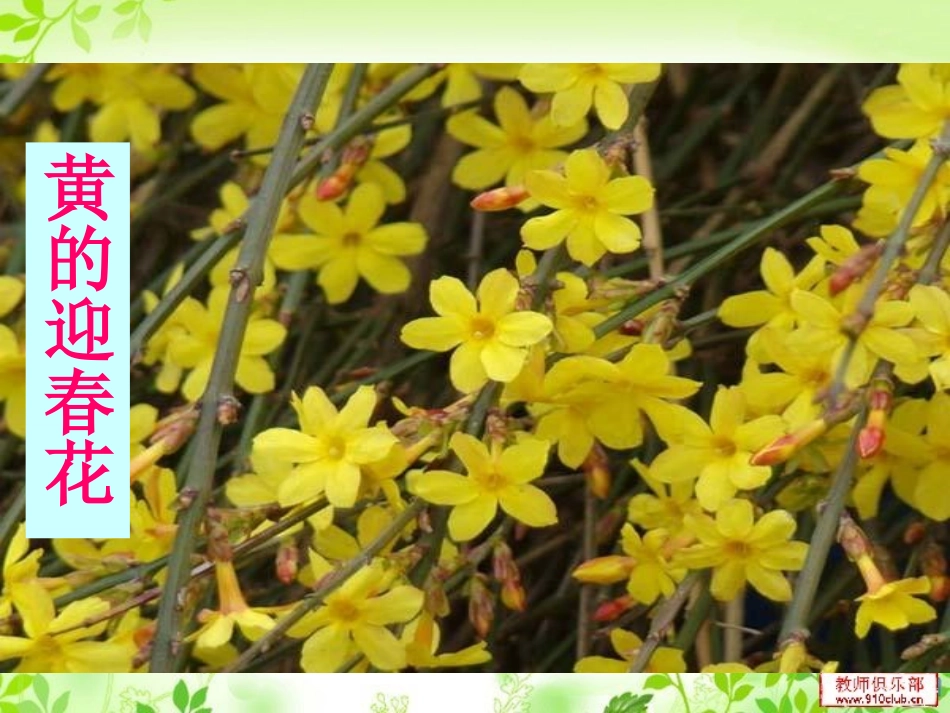 春天是一本书(1)大班语言活动_第2页