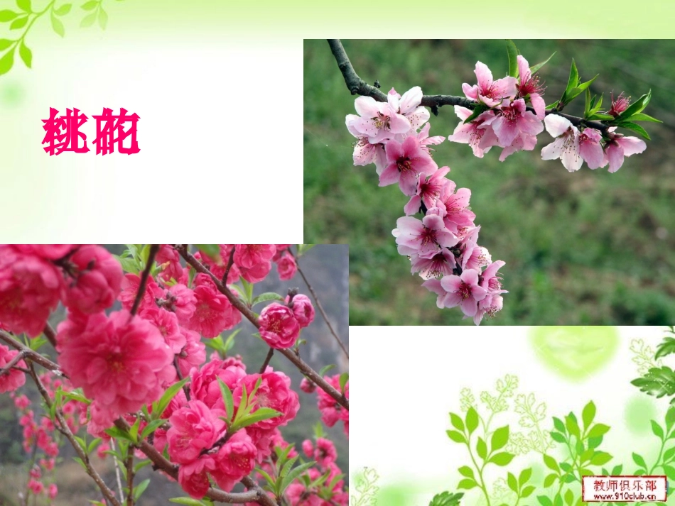 春天是一本书(1)大班语言活动_第3页