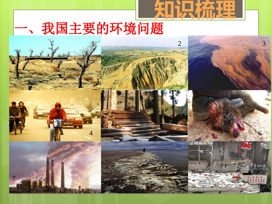 和谐世界的追求与可持续发展的选择(三)（考点38）x[修复的]_第3页