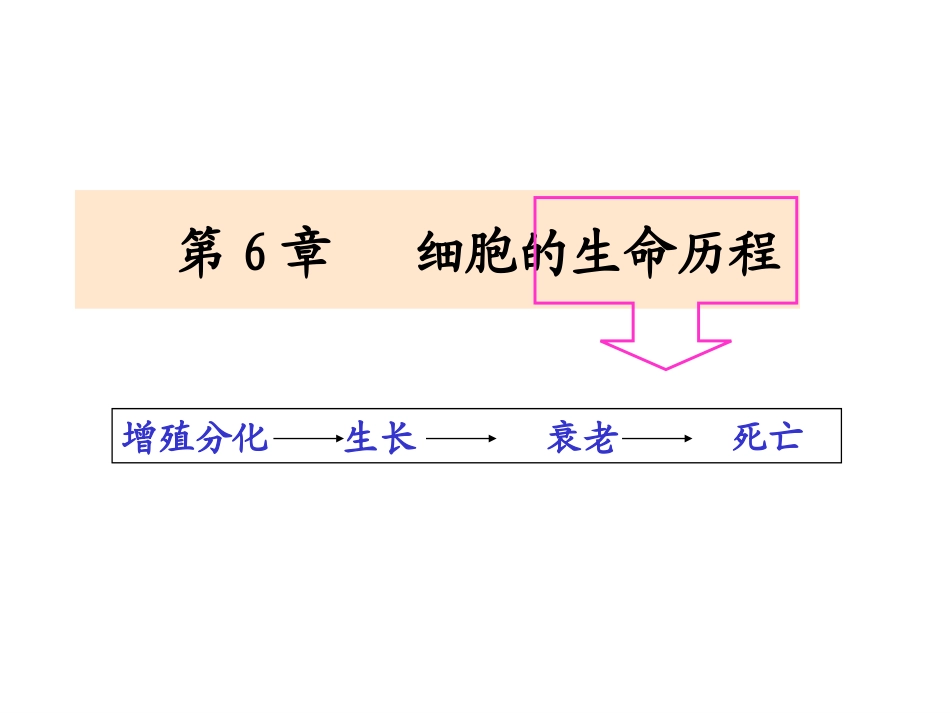 细胞的生命历程_第1页