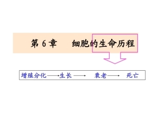 细胞的生命历程