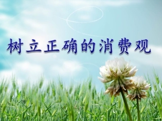 树立正确的消费观