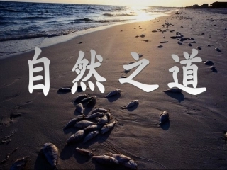 《自然之道》 (2)