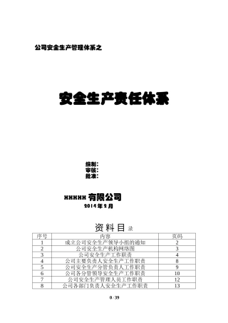 安全生产责任体系(DOC41页)