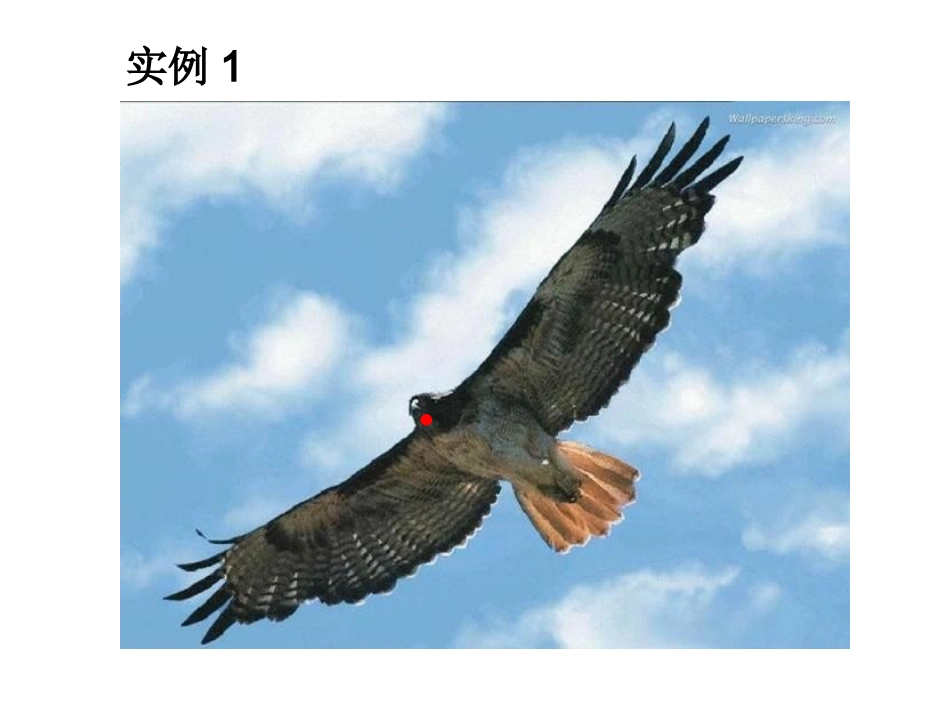 《质点参考系和坐标系》(用)_第3页