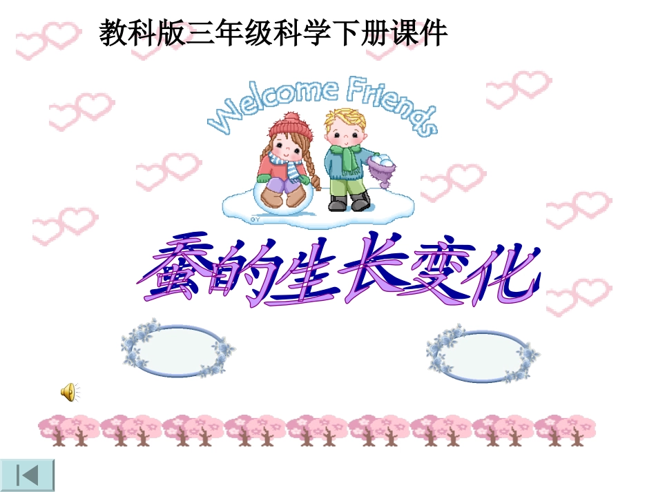 蚕的生长变化_第1页
