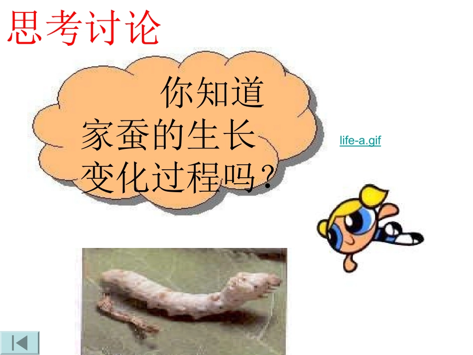 蚕的生长变化_第3页