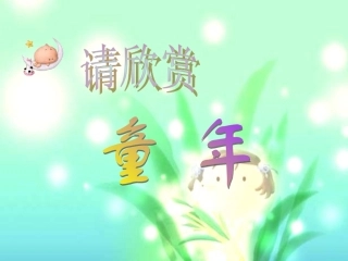 《童年的发现》课件PPT