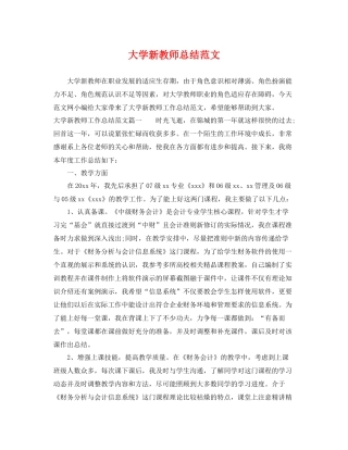大学新教师总结范文 