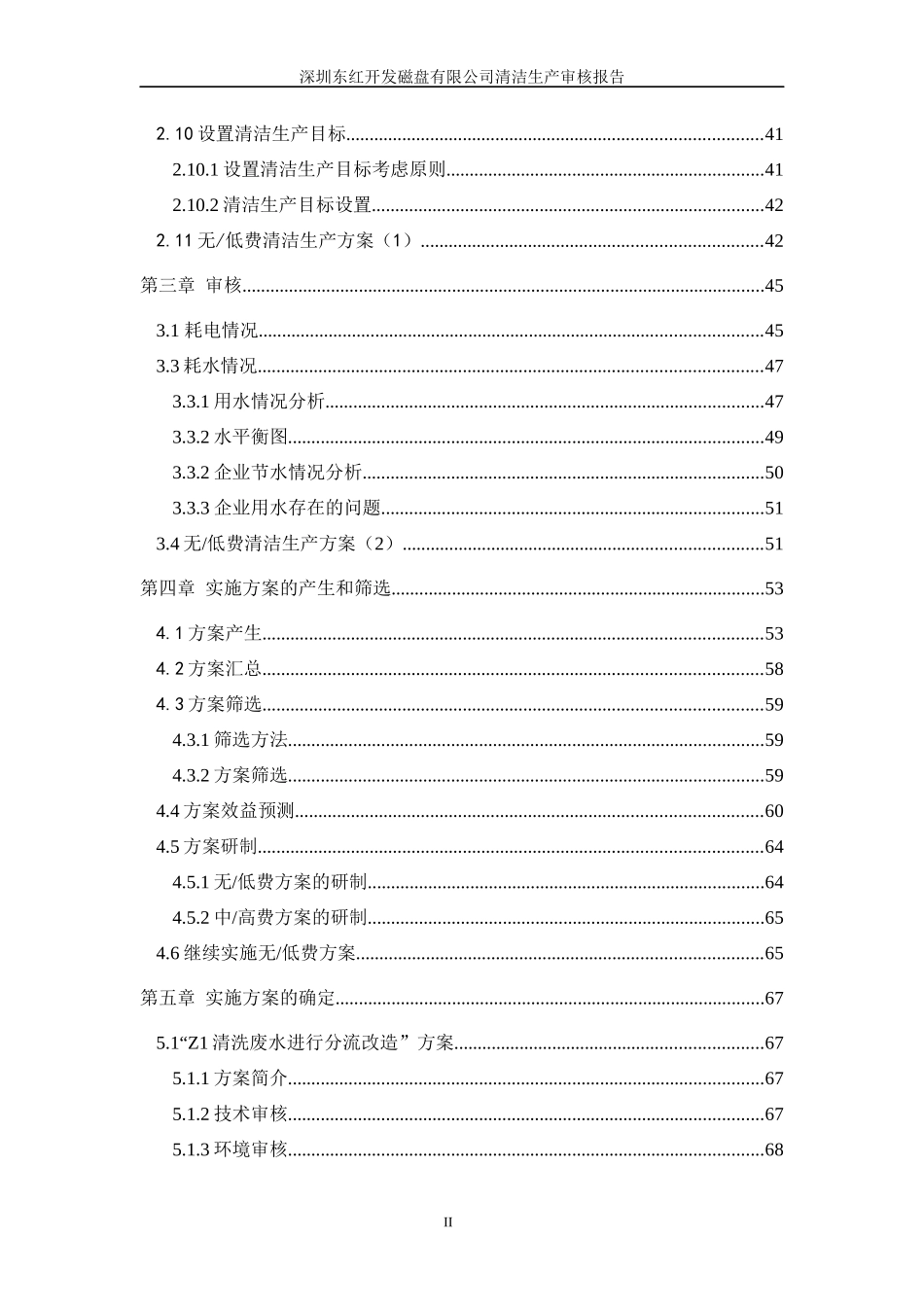 东红清洁生产审核报告_第2页