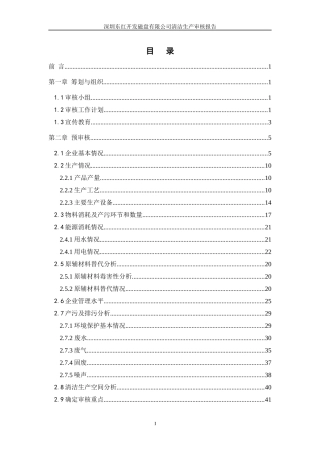 东红清洁生产审核报告