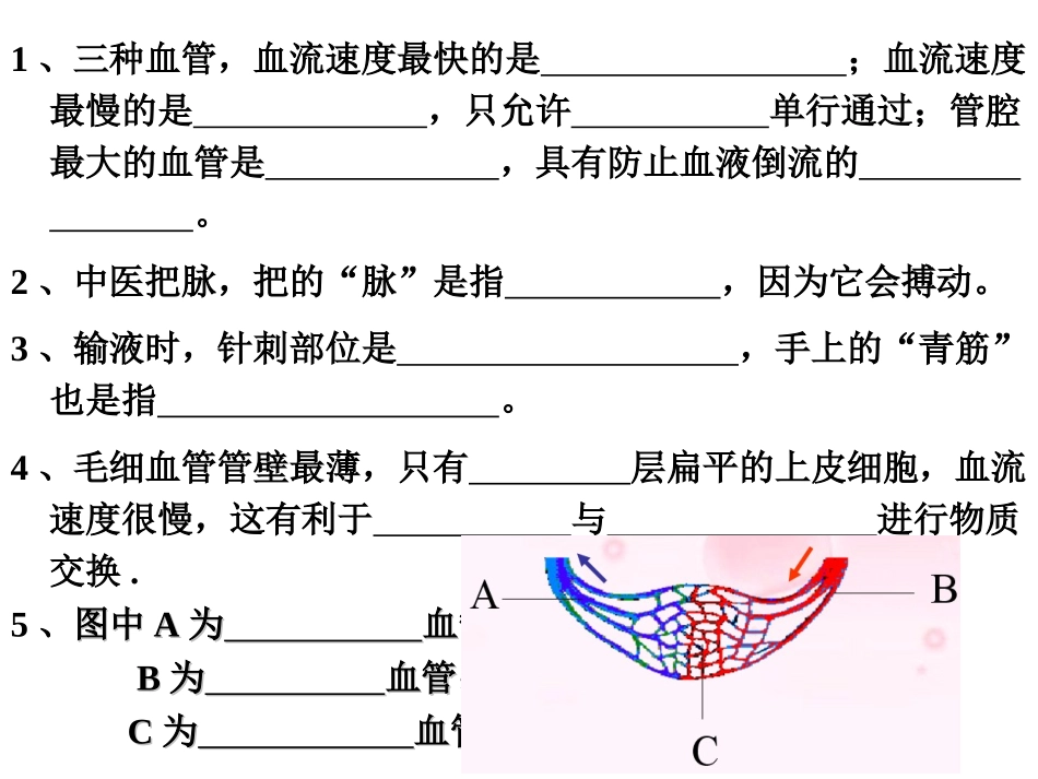 第三节输送血液的泵——心脏_第2页