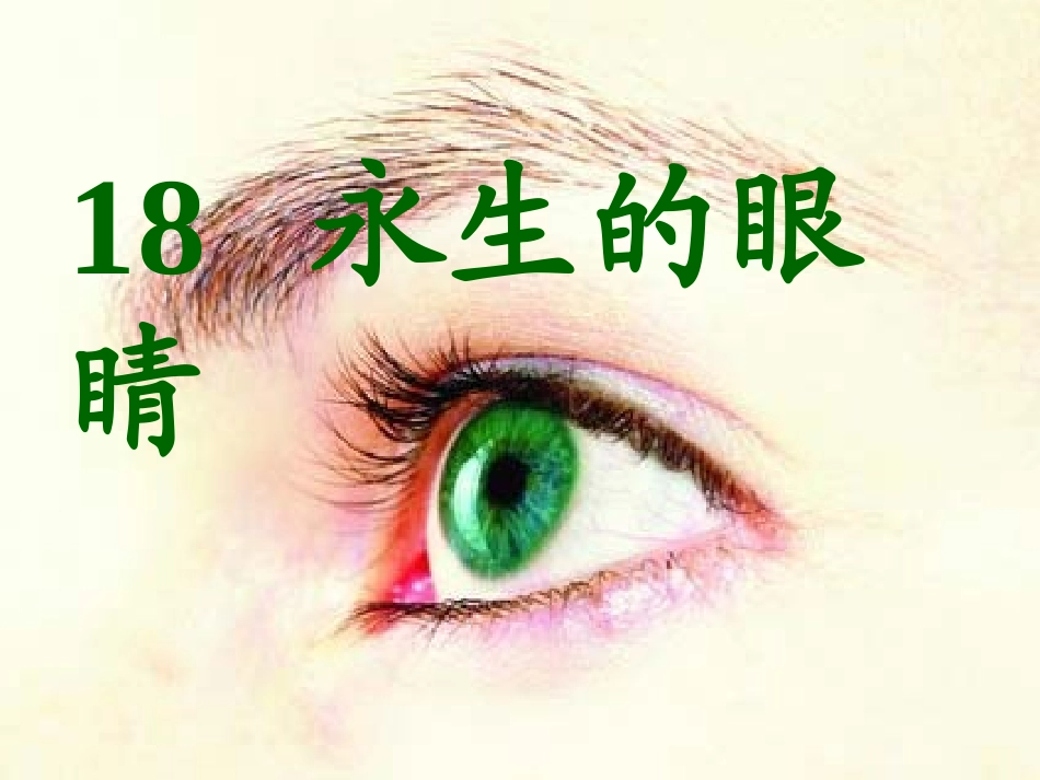 永生的眼睛（毕丽芬）_第1页