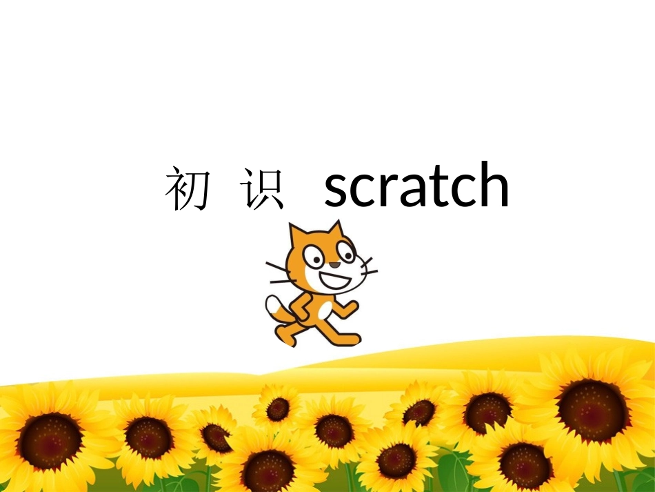 六下第六课初识scratch_第1页