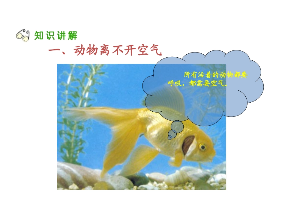 苏教版四年级空气也是生命之源_第3页