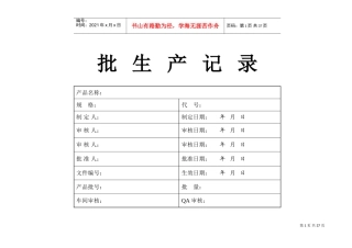 药品批生产记录(DOC31页)