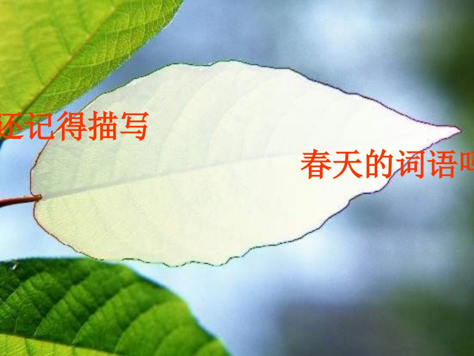 春雨的色彩_课件_第2页