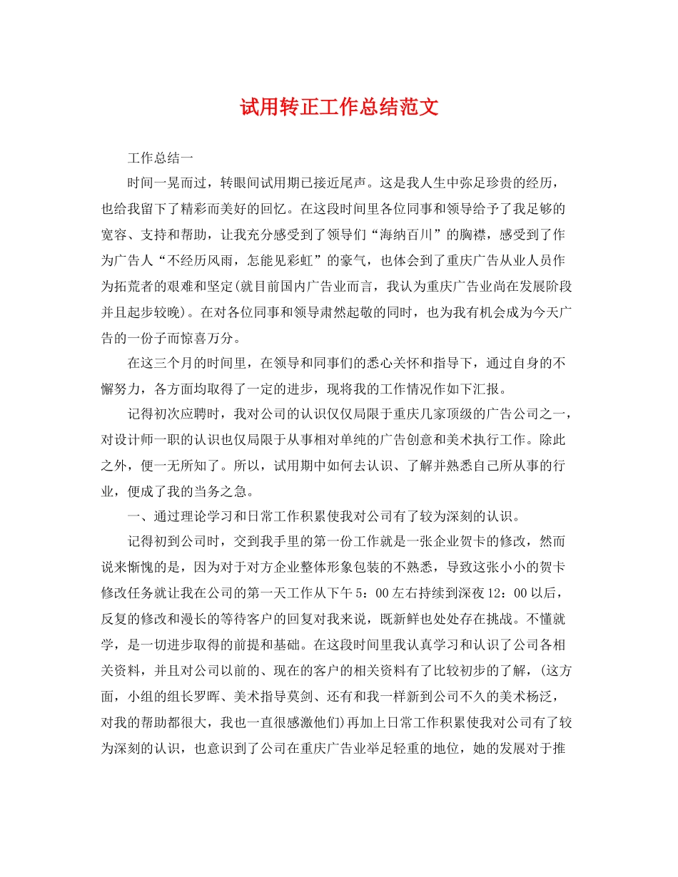 试用转正工作总结范文 _第1页