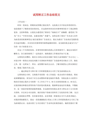 试用转正工作总结范文 