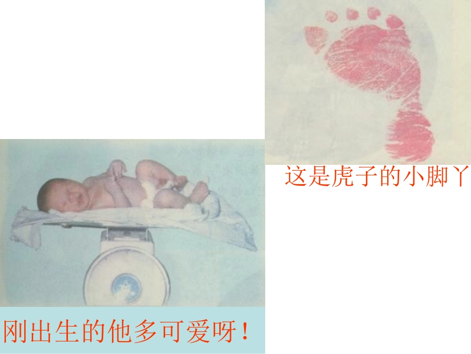 我长大了课件_第1页