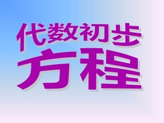 《代数初步方程》PPT课件