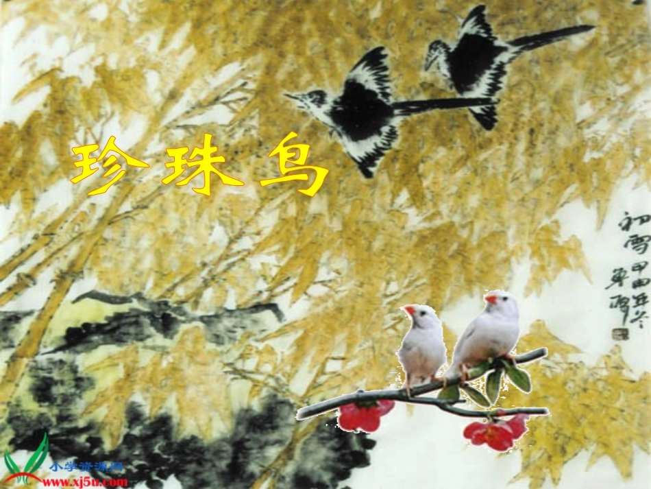 珍珠鸟 (2)_第1页