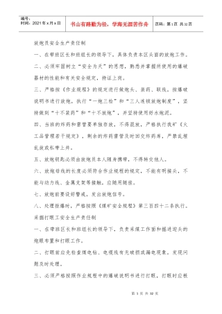 煤矿各岗位人员安全生产责任制（DOC30页）