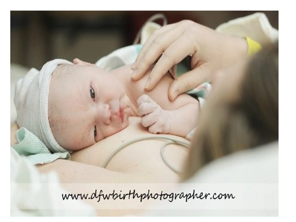 精读课《生命生命》_第1页