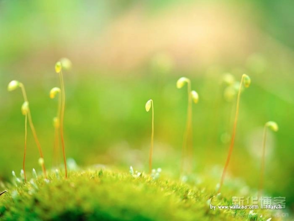 精读课《生命生命》_第3页