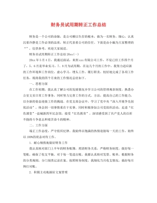 财务员试用期转正工作总结 