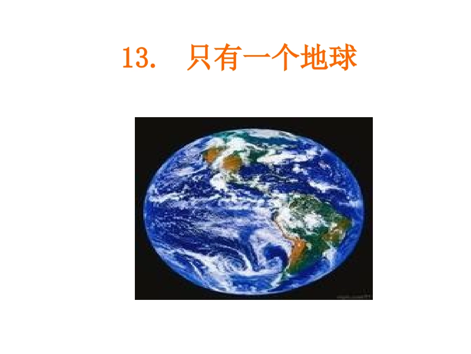 只有一个地球()_第2页