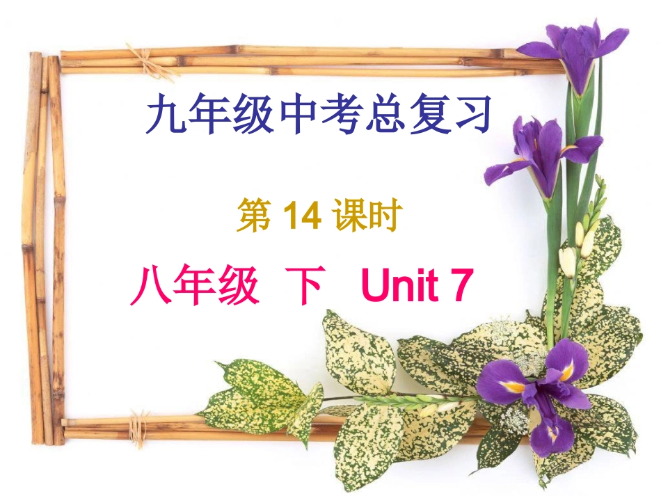 中考总复习--八年级下Unit7_第1页