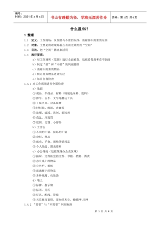 什么是5S？