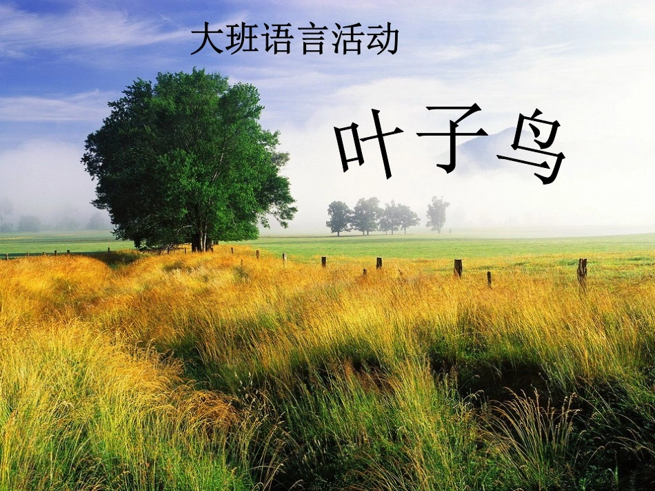 大班语言活动《叶子鸟》_第1页