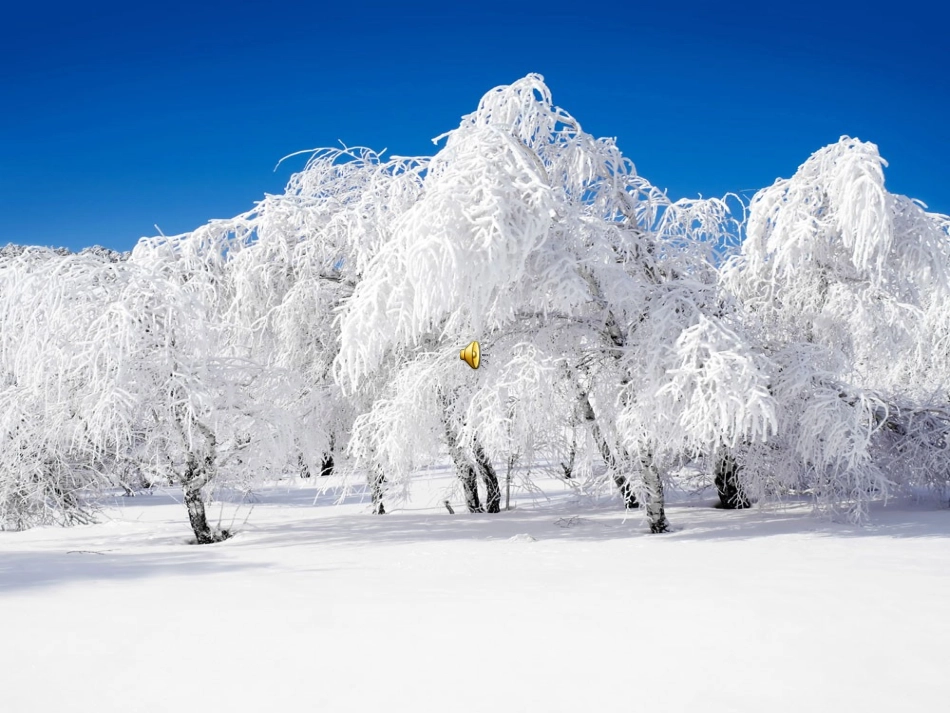 吟雪课件第一课时1_第3页