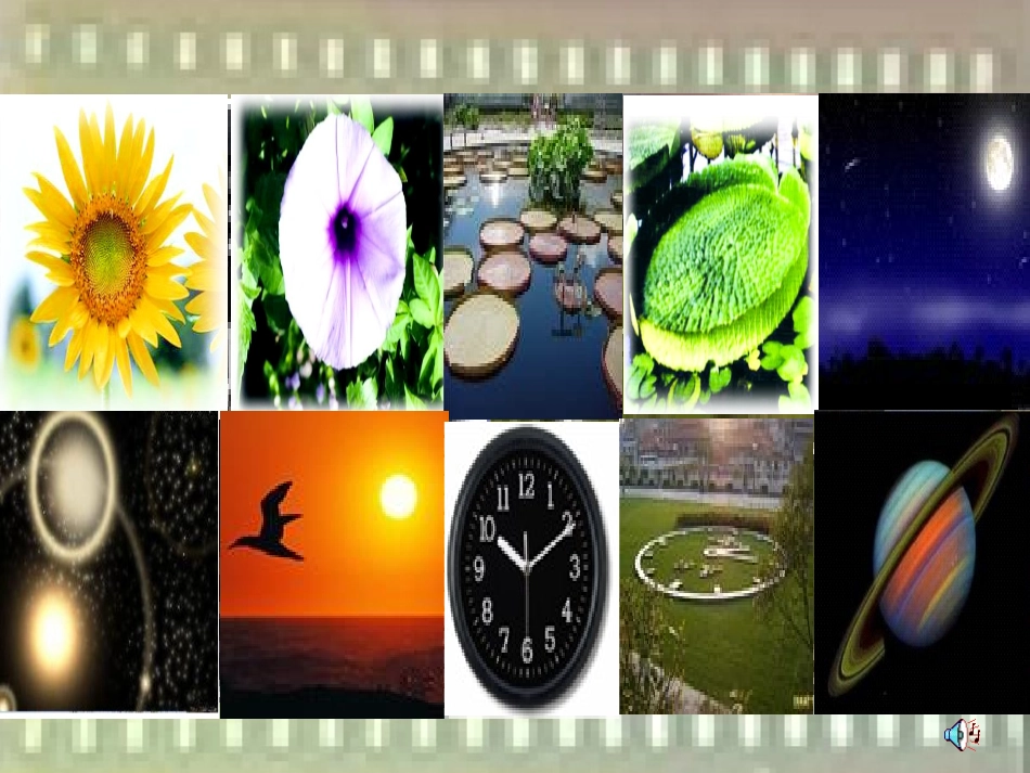 北师大版《圆的认识》课件_第2页