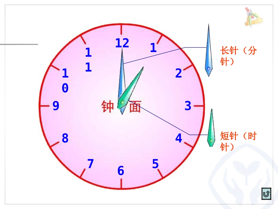 认识钟表（黎）梨_第3页