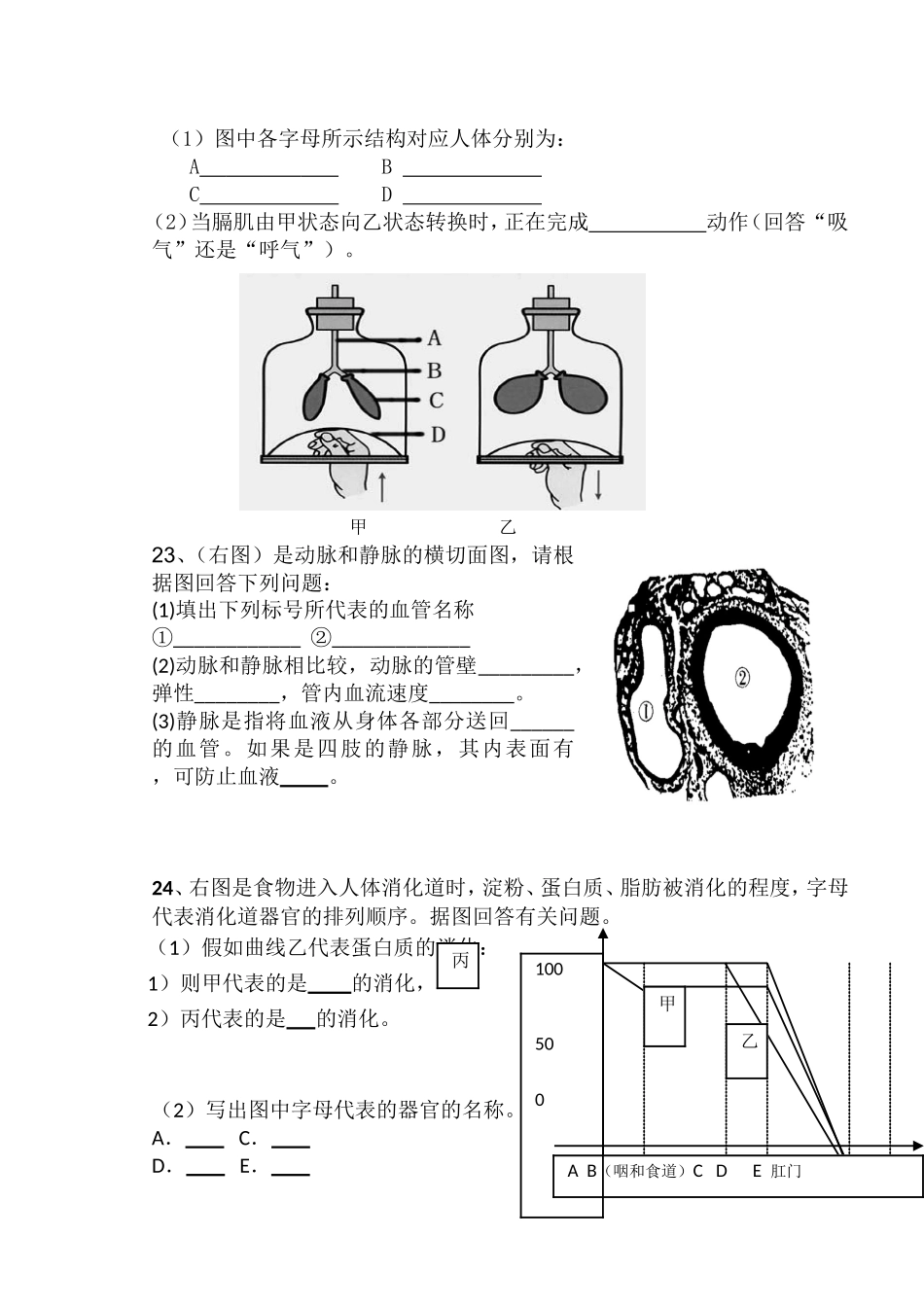 2016年七年级下册生物期中试题_第3页