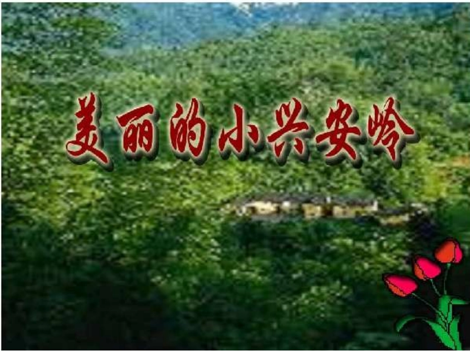 美丽的小兴安岭 (2)_第1页