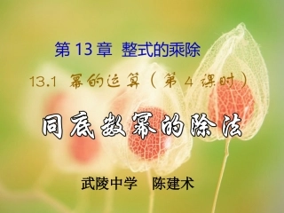 幂的运算（第4课时同底数幂的除法）