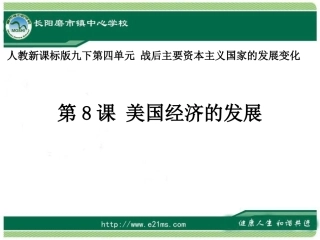 九下历史第8课美国经济的发展