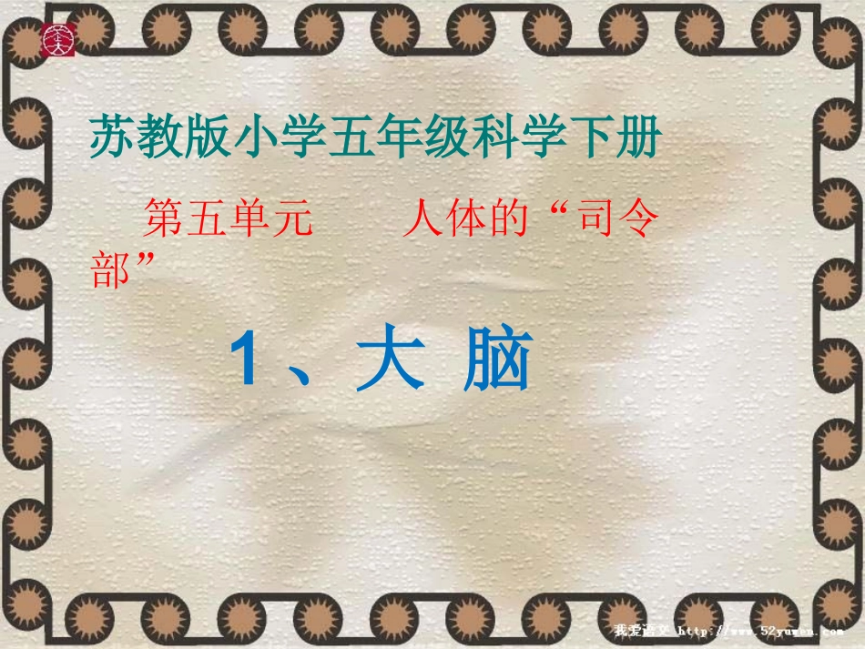 五年级科学下册《大脑》_第2页
