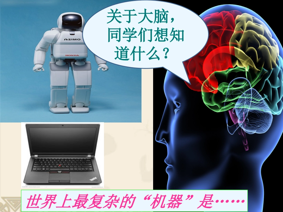 五年级科学下册《大脑》_第3页