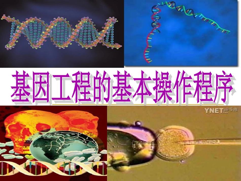 基因工程的基本操作程序教学课件（详细）_第1页