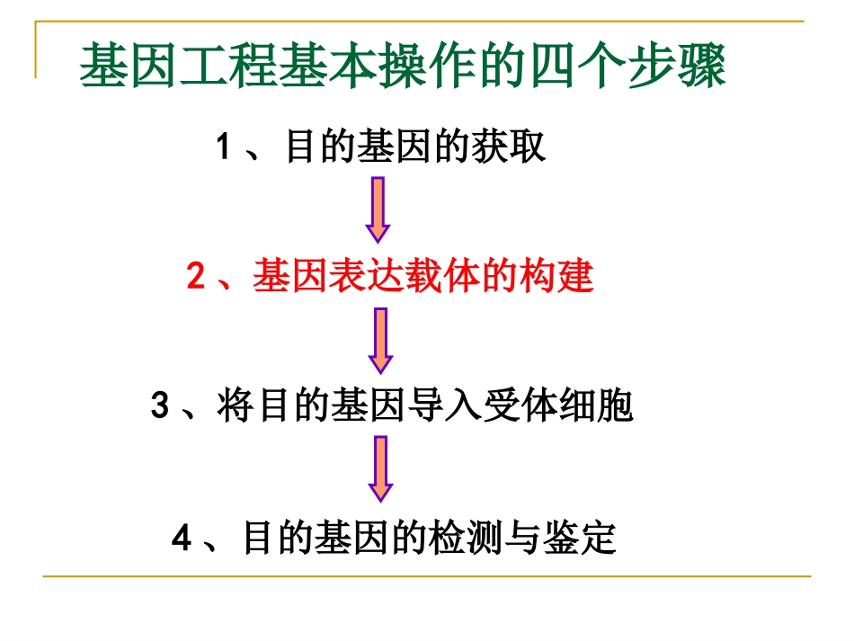 基因工程的基本操作程序教学课件（详细）_第2页