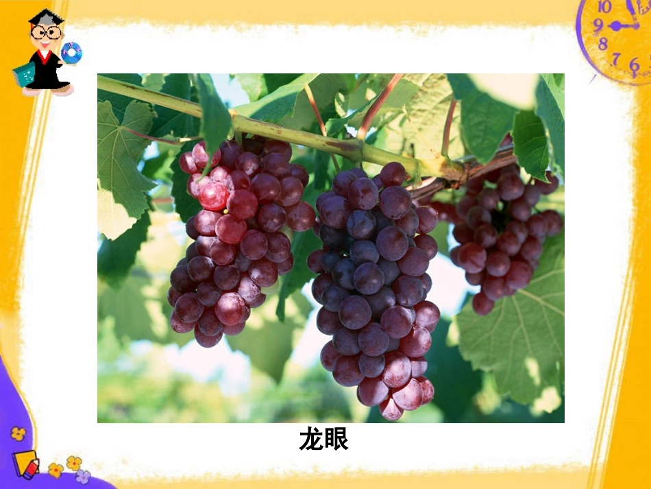 课题一_果酒果醋的制作_第2页